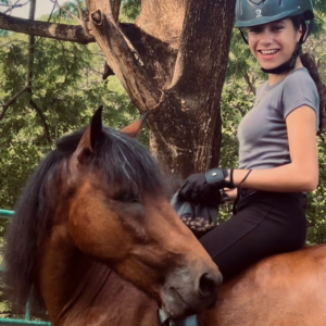 Training with horses